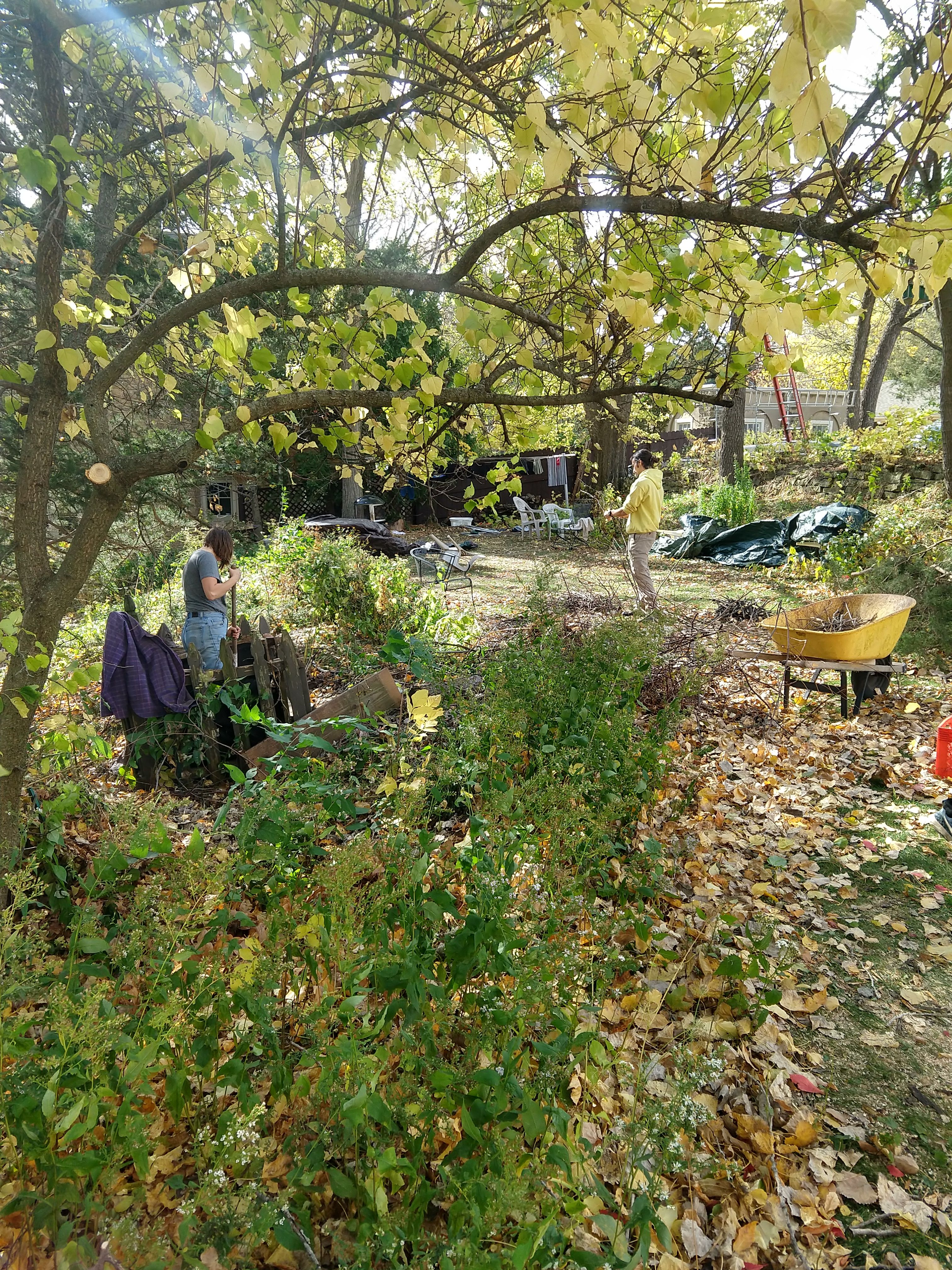 A Summiteer rakes leaves on the front yard for Work Weekend. (Circa fall 2020)